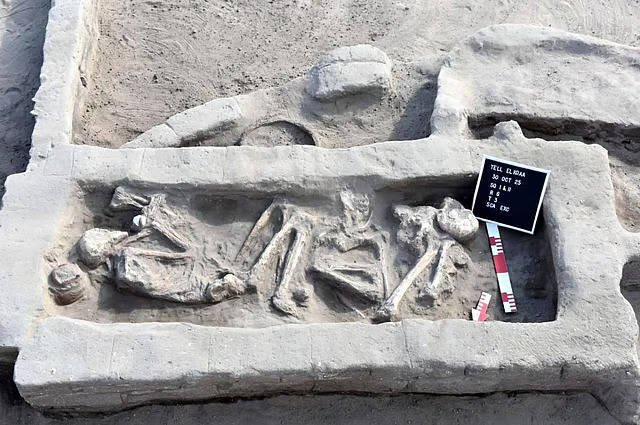 News - ARCHEO.NEWS